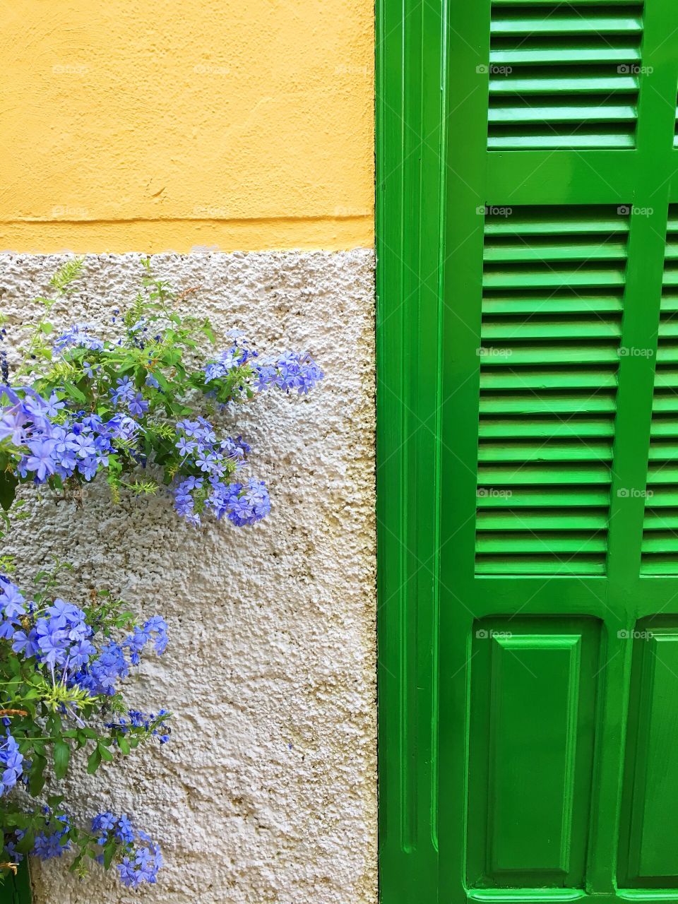 Green door and blue flowers in contrast 