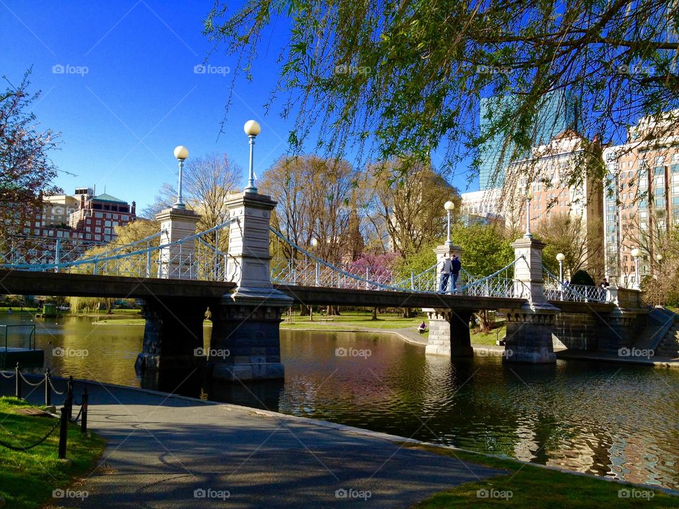 Public Garden in Boston