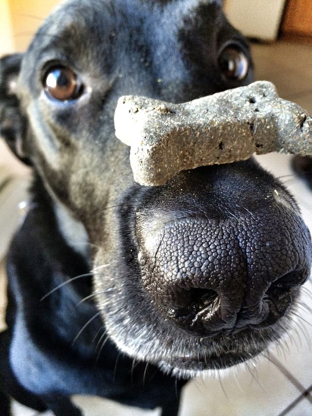 Balancing act 