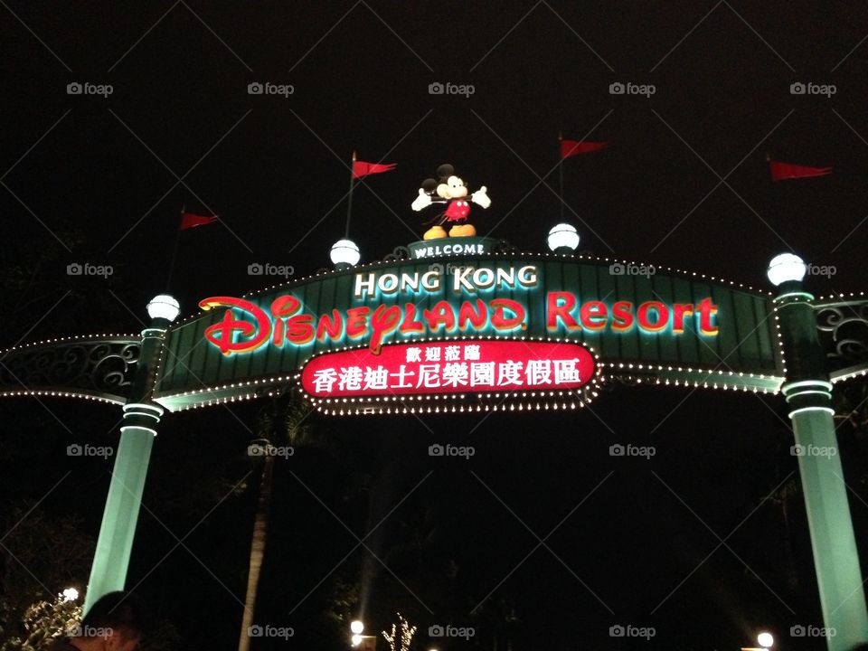 Disneyland Resort at Night