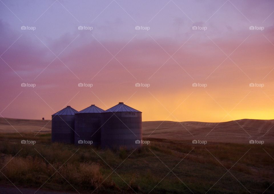 Sunset grain silos 