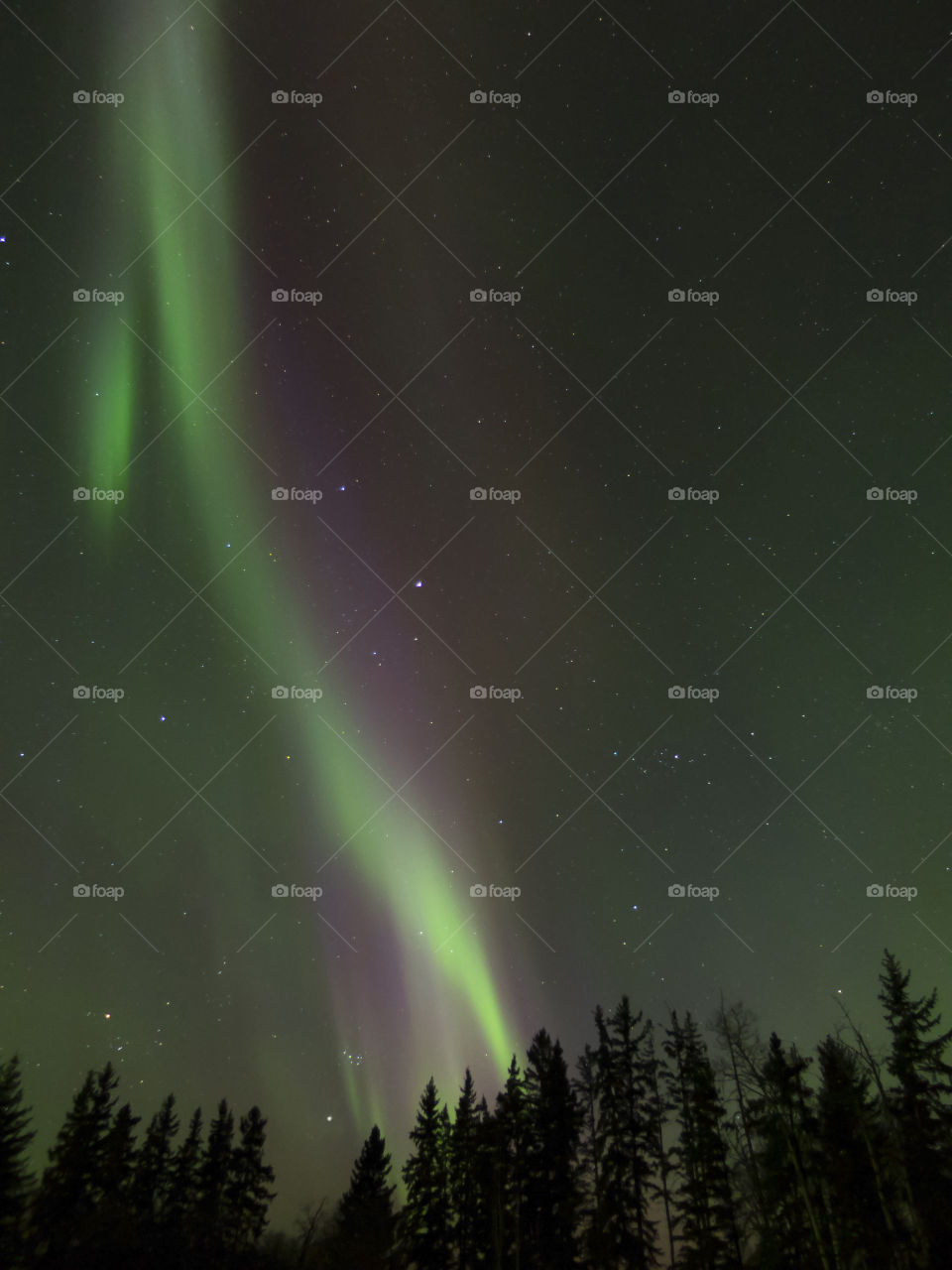 Aurora Borealis (northern lights) in Alberta, Canada