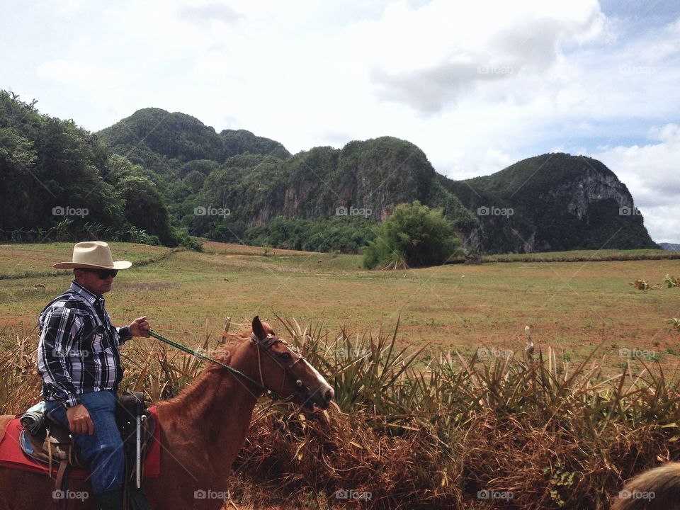 Vinales horse