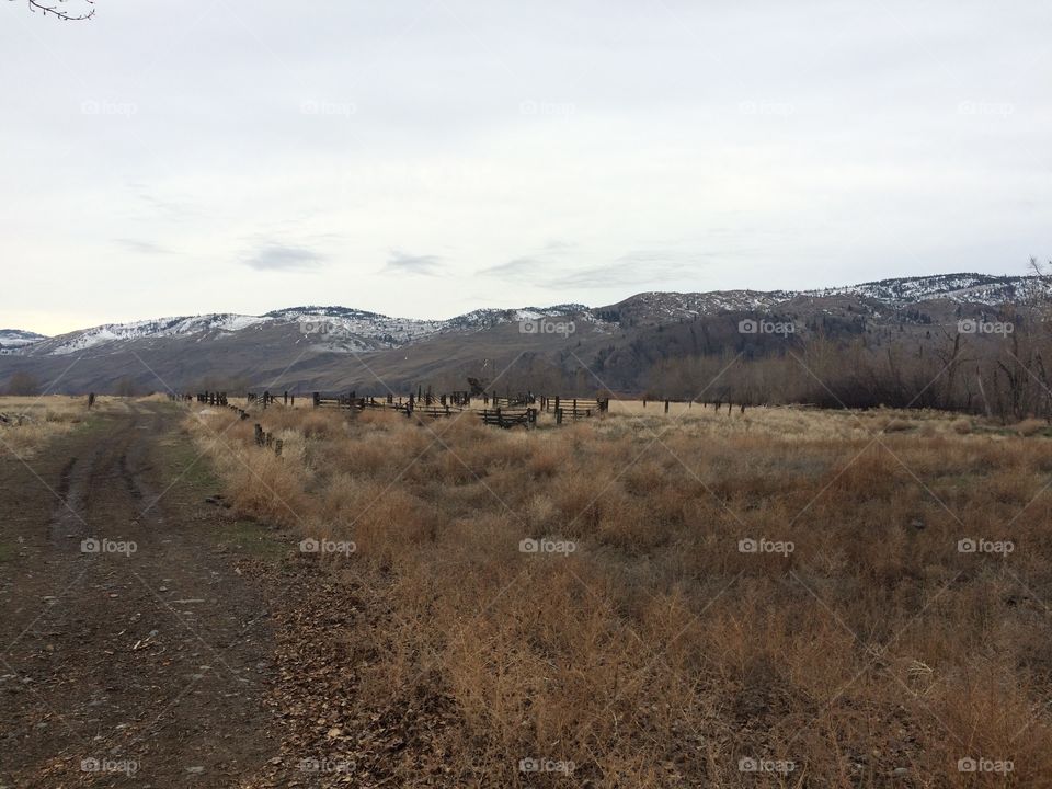 Abandoned Kamloops road! 