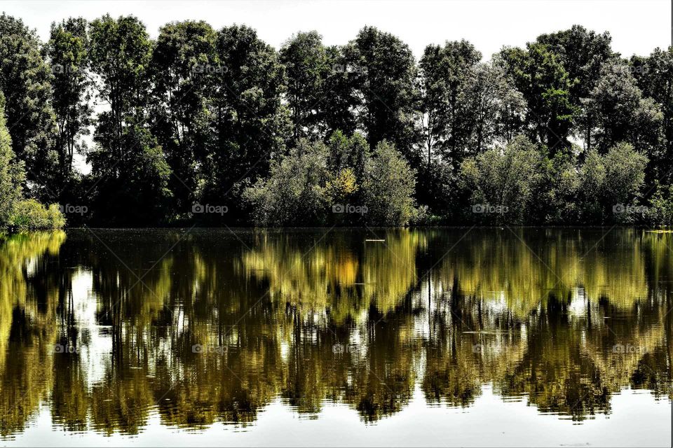 landscape with green trees reflecting in the water of a small lake