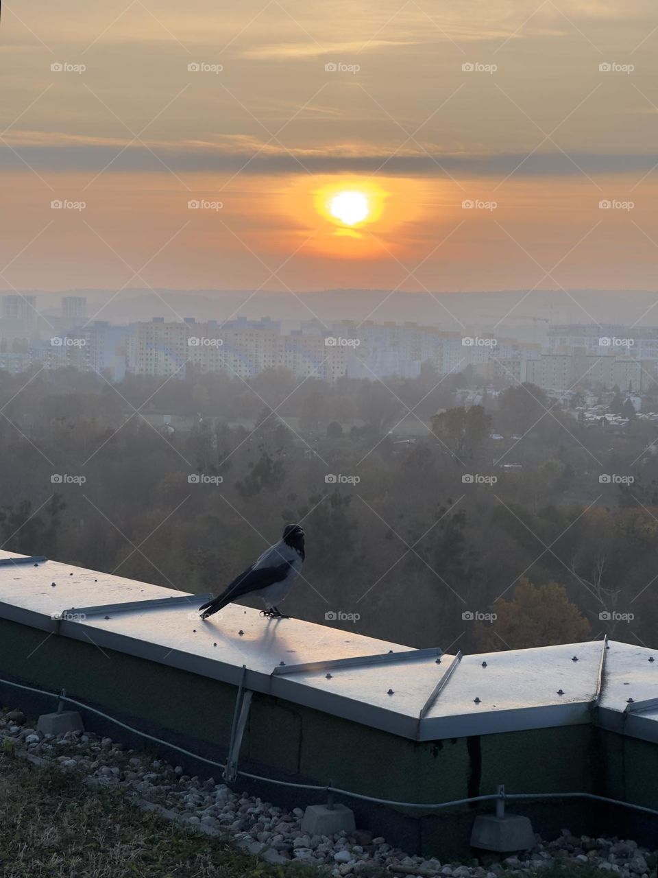 The evening in Gdańsk 🌇