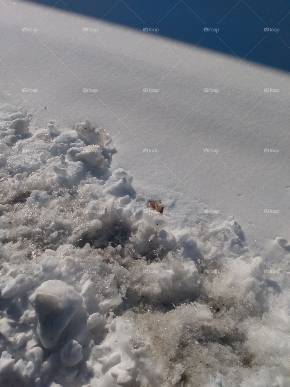 the rain will melt the last of the snow this weekend and warmer weather is on its way!