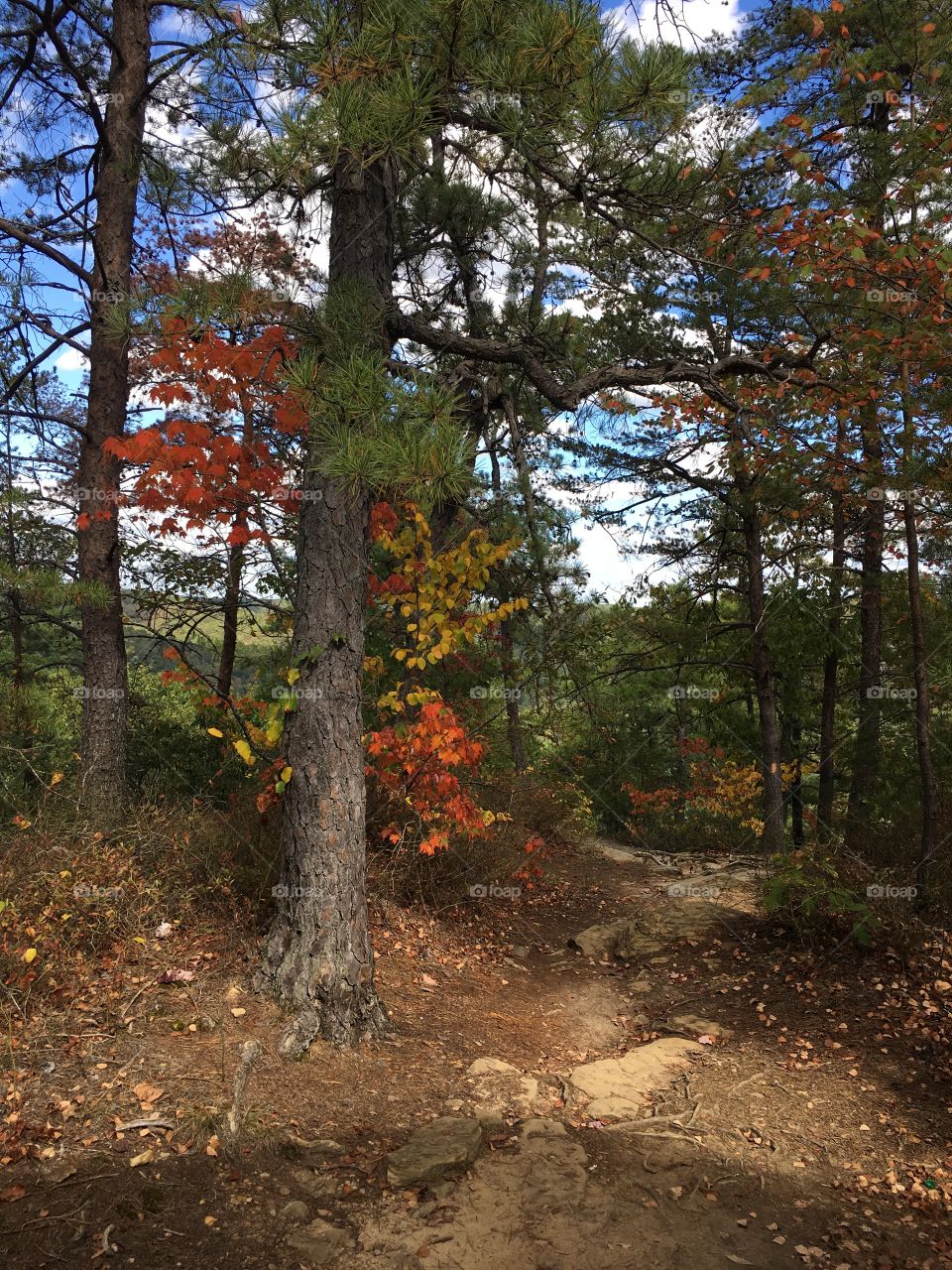 A fall path 