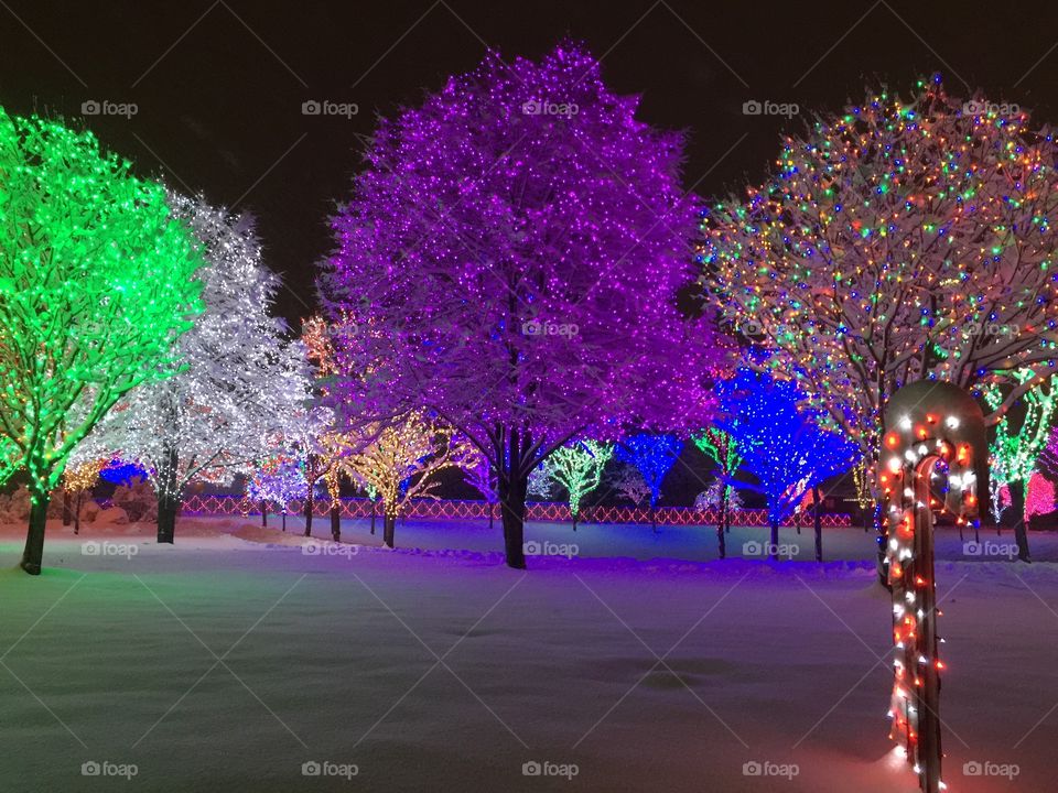 Christmas led light cover trees