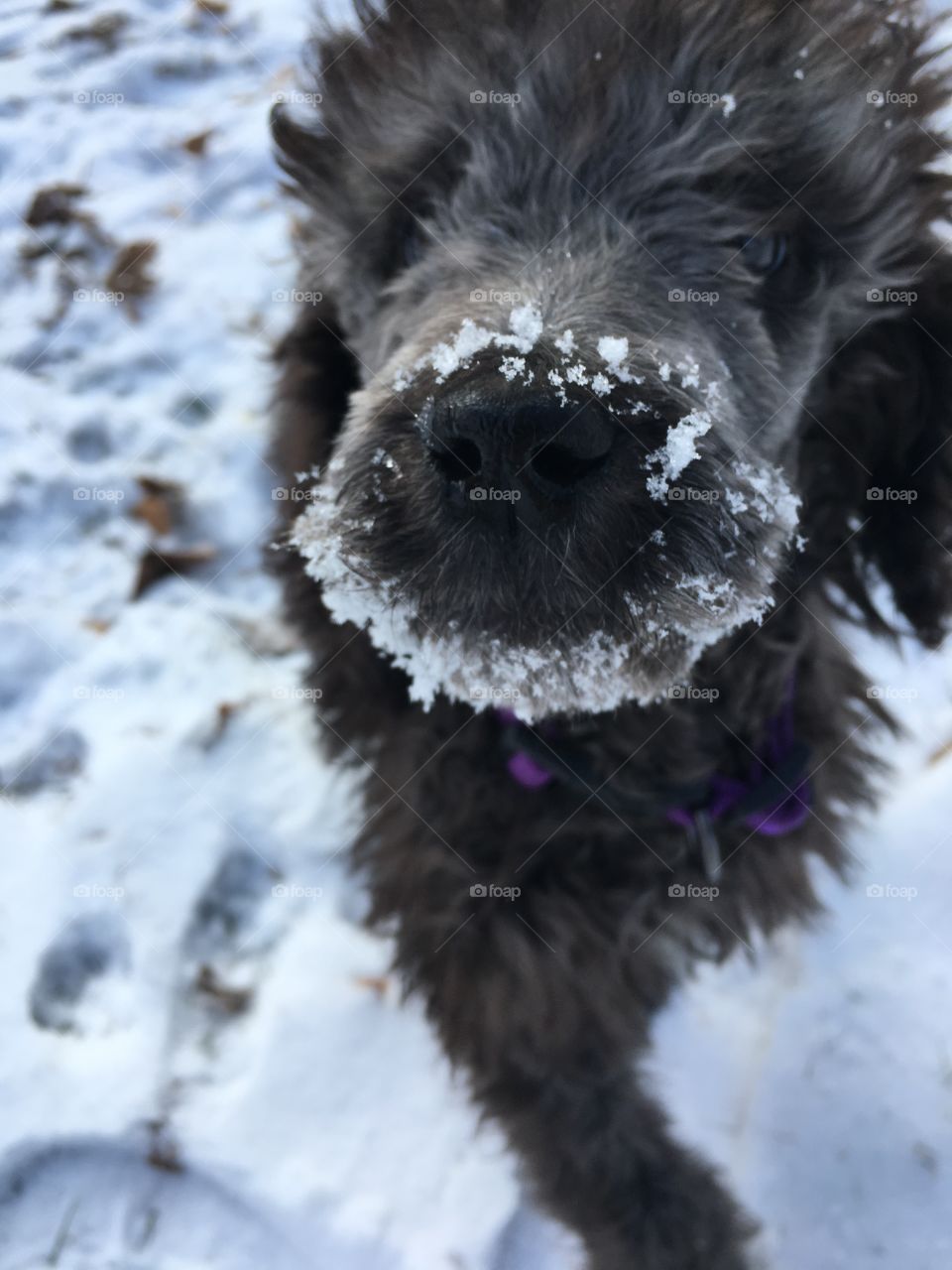 First snow