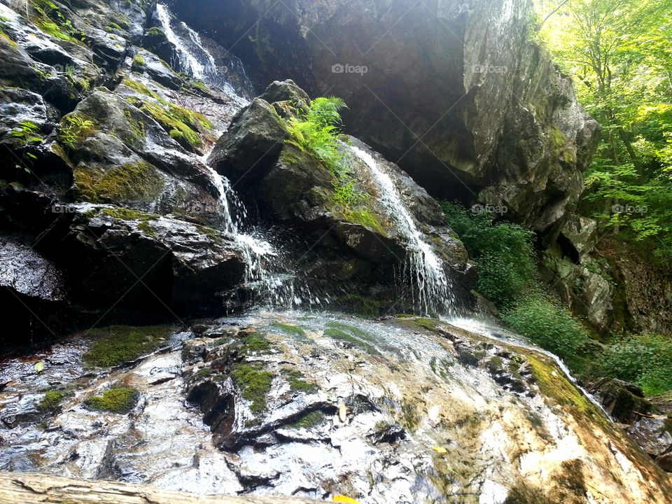 Hiking in southwestern Virginia