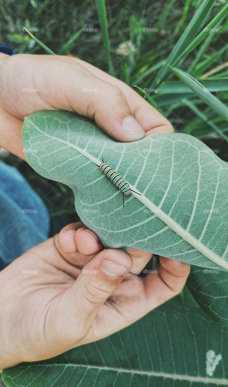 Child holding a leaf with caterpillar 