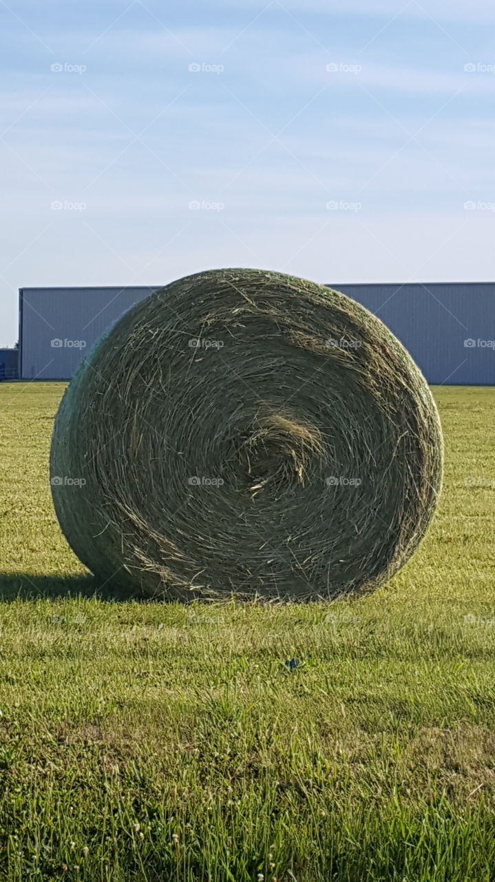 hay roll