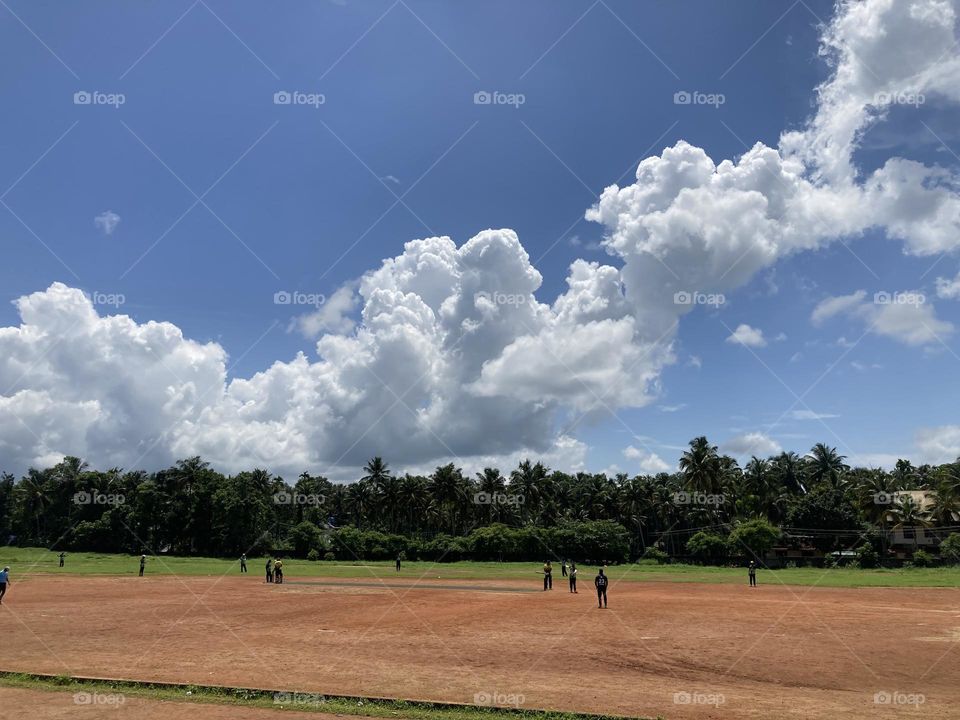 Ground in summer 