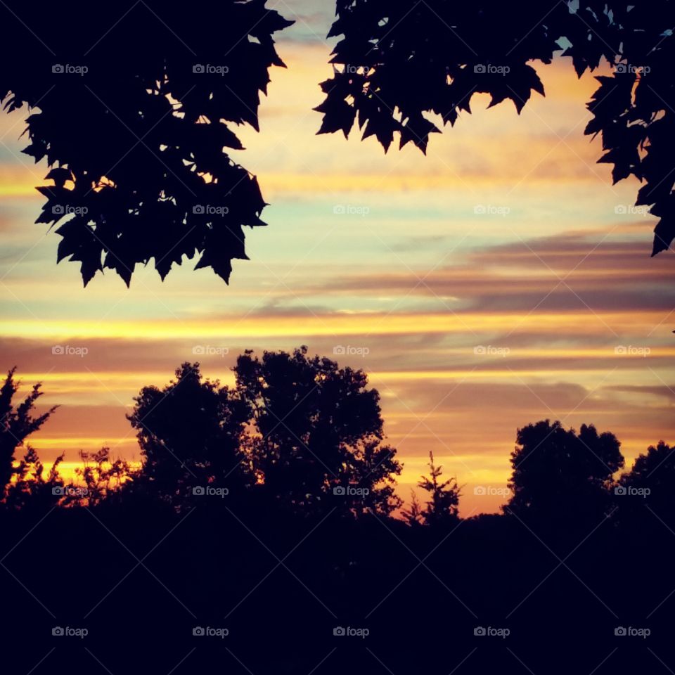 Heart of the Sunset. I took this photo one night out at my parents' house out in the country. Once I saw this view, I just had to capture it.