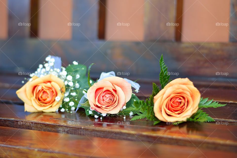 three roses 