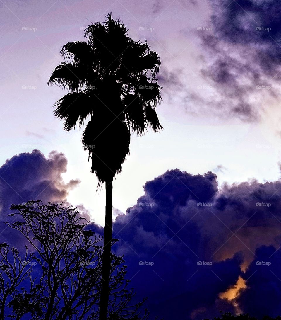 Beautiful morning in south Texas