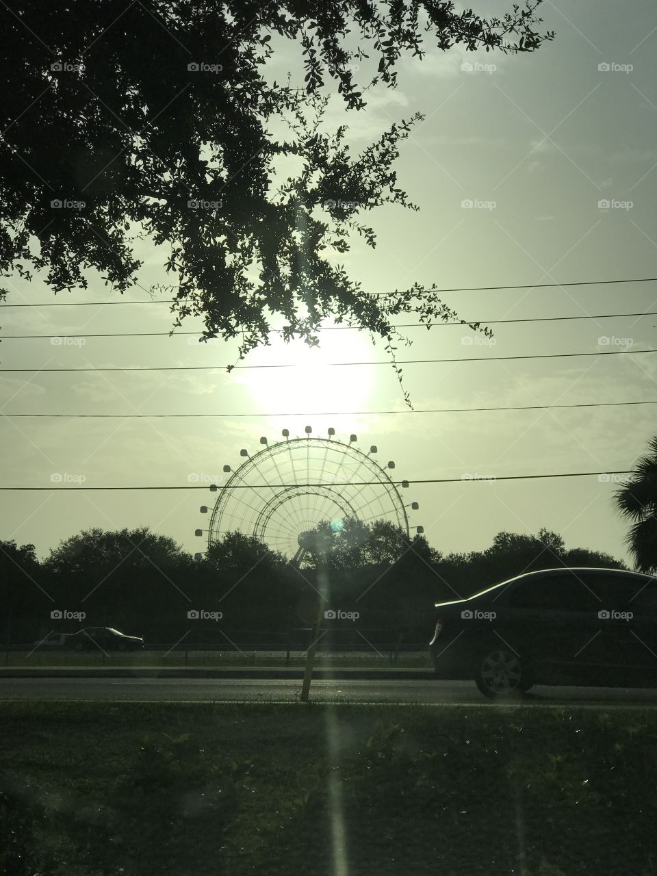 .odnalrO ni detacol tneduts FCU nA  .asleS yb kcilC Follow me @Selsa.Notes, @Selsa.Clicks, or @Selsa.Quotes.  The Orlando Eye.  Bought by CocaCola, July 28, 2016.  Was a business investment to be able to observe the city from the ferris wheel that stands 400 feet high.  It spins at a very slow rate and cost $25 to ride.  It opened April 29th, 2015.  Total of 75 photos in this album of the Coca Cola eye.  The colors displayed on the daily basis is red & white representing classic coke.  A white color that skips to represent carbonation  and green every once in a while for the sugar cane coke.  Then the rainbow colors sadly represent the Pulse shooting victims (album) and the solid blue is for the law enforcement officers killed in the line of duty. In Aug17.  Officer Baxter and Sgt. Howard.  Rest in Heavenly Peace. 