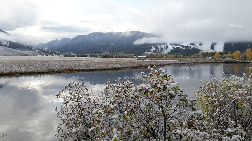 Scenic view of lake in winter