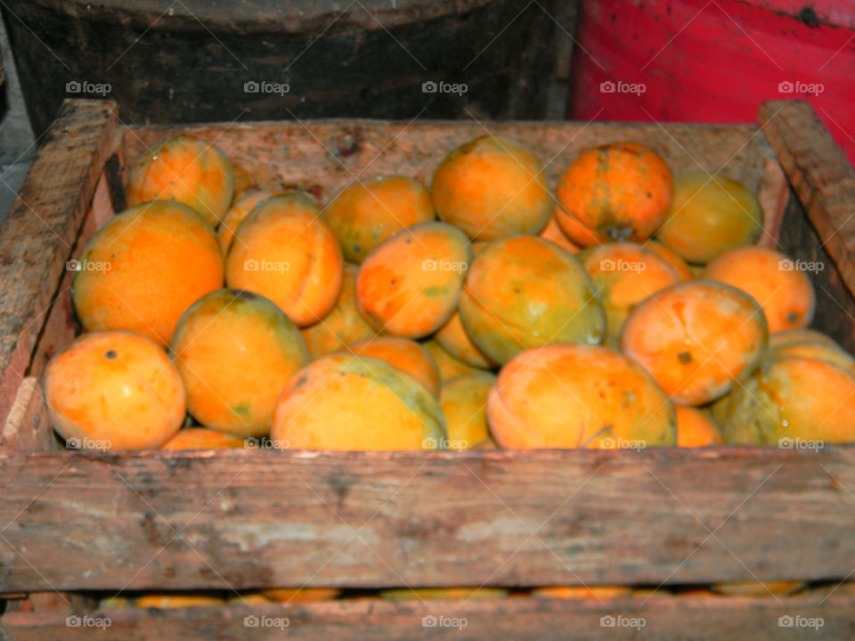 Mangos in craters ready for market