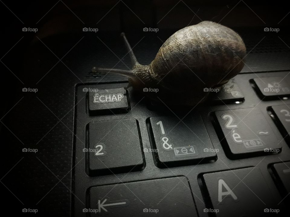 snail computer keyboard light slow echap black shadow