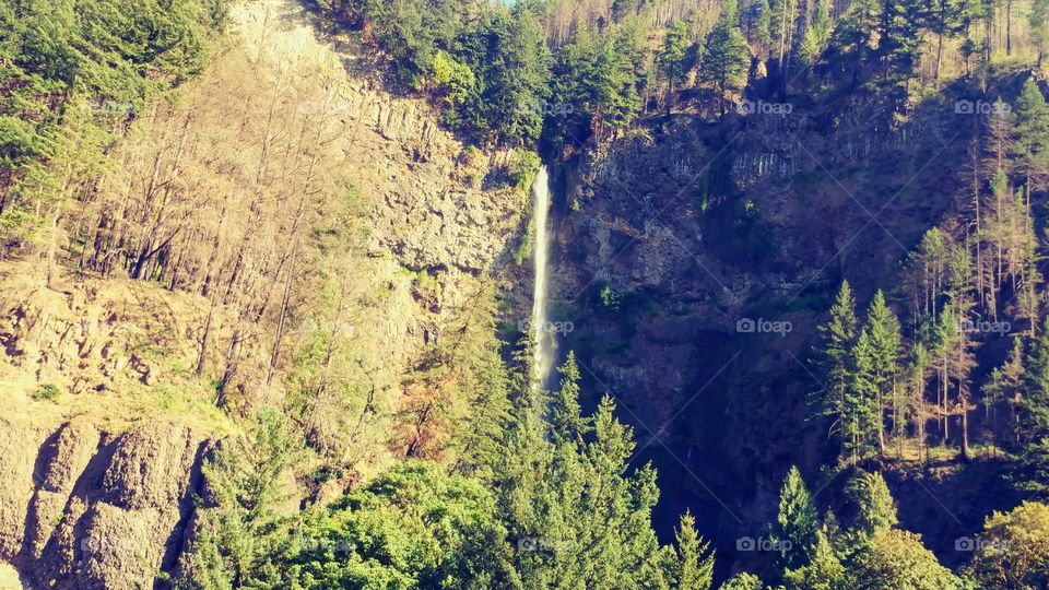 Multnomah Falls