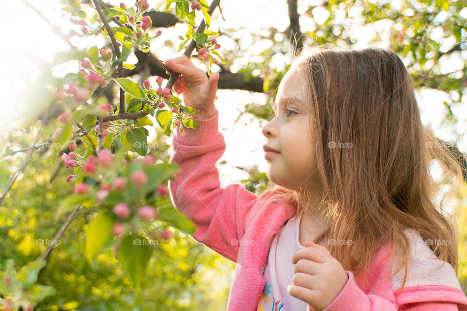 Side view of adorable little girl holding blooming tree branch