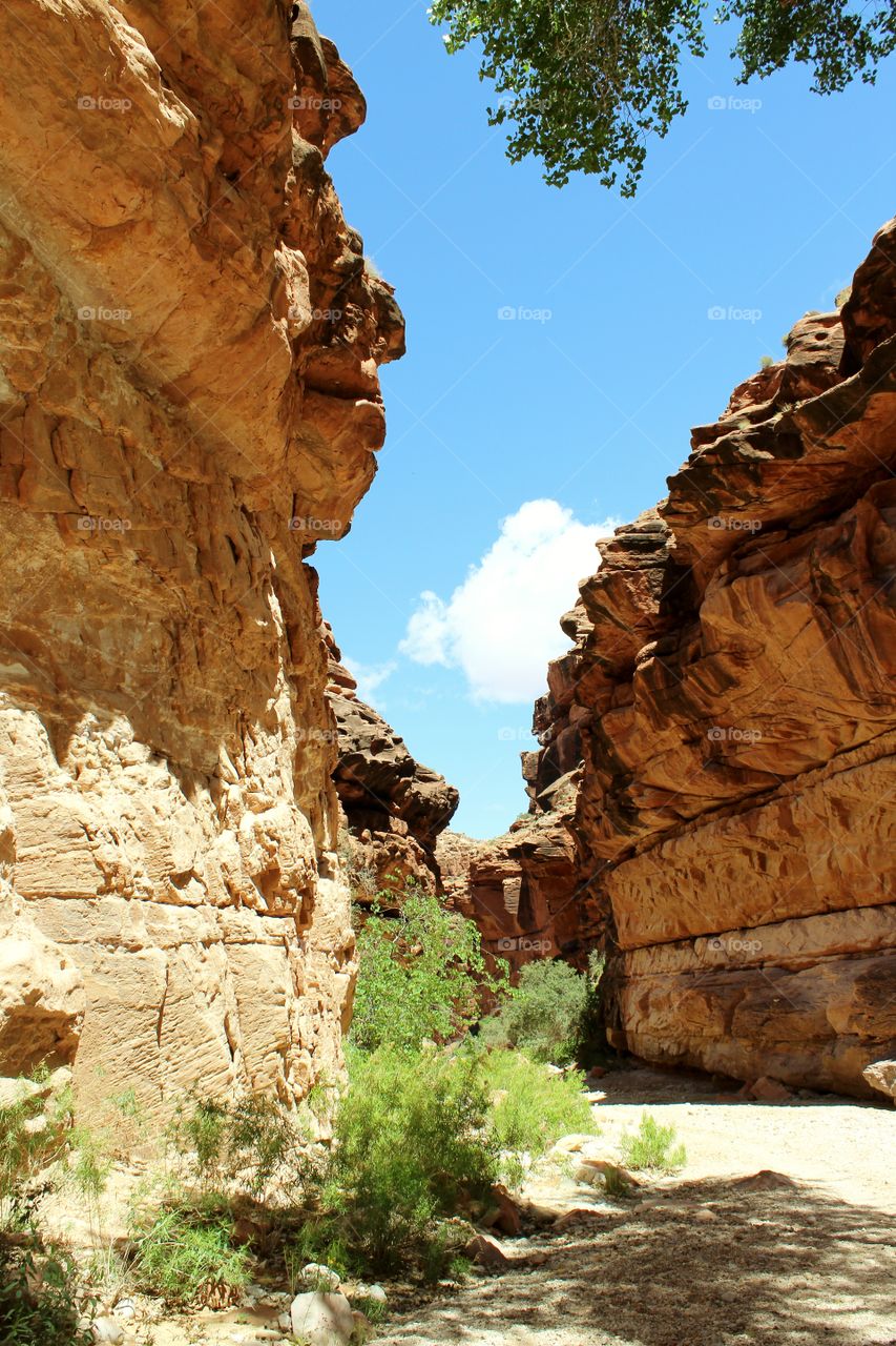 Sandstone in Grand Canyon