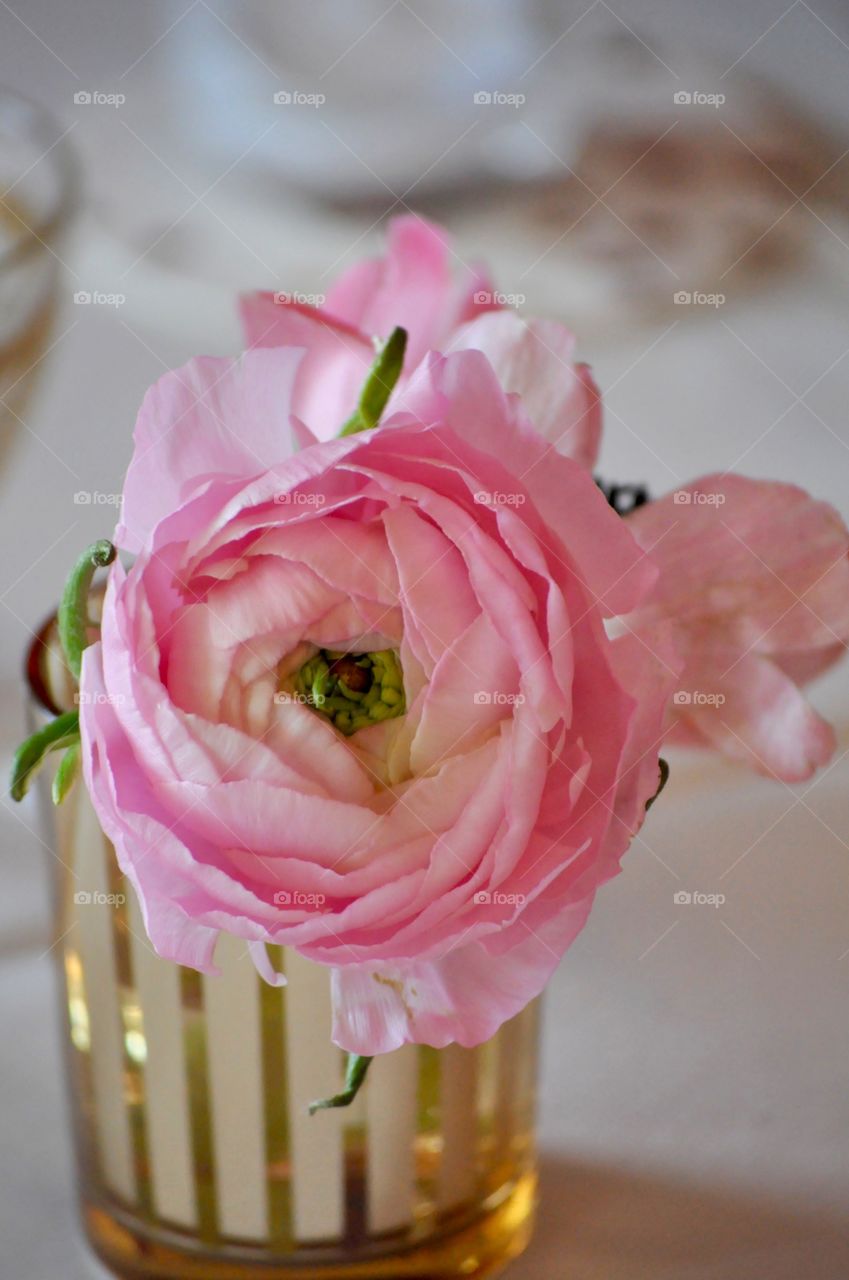 Flower, No Person, Wedding, Rose, Love
