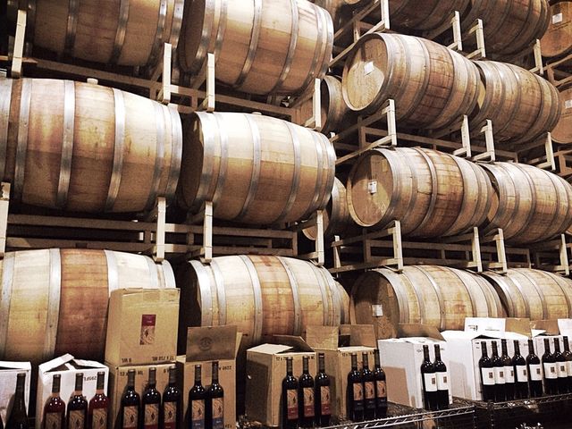 The cellar 