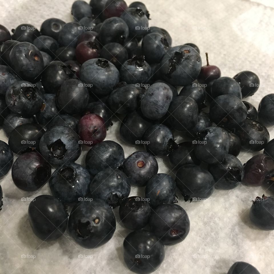 Fresh Locally Grown Farmers Market Blueberries 