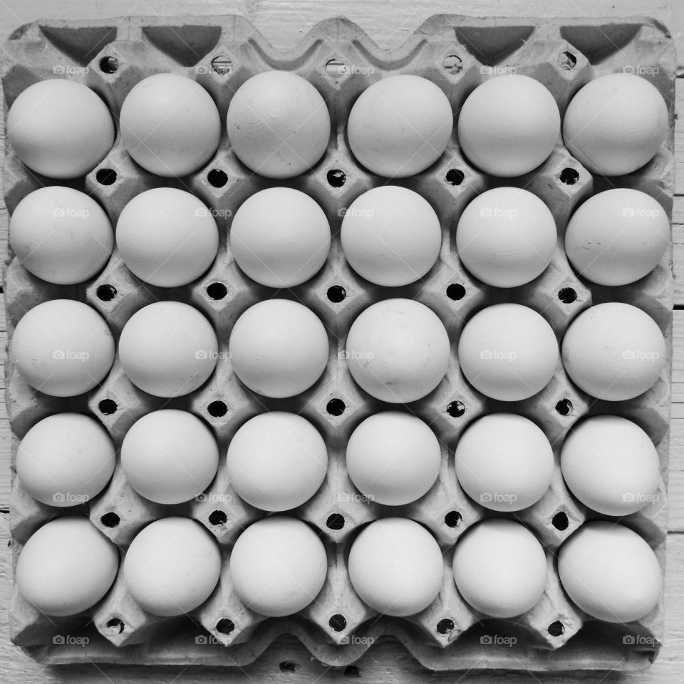 eggs