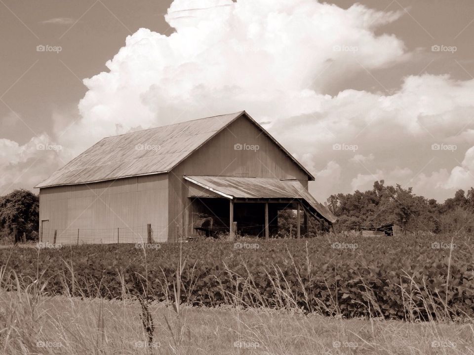Barn in black and white