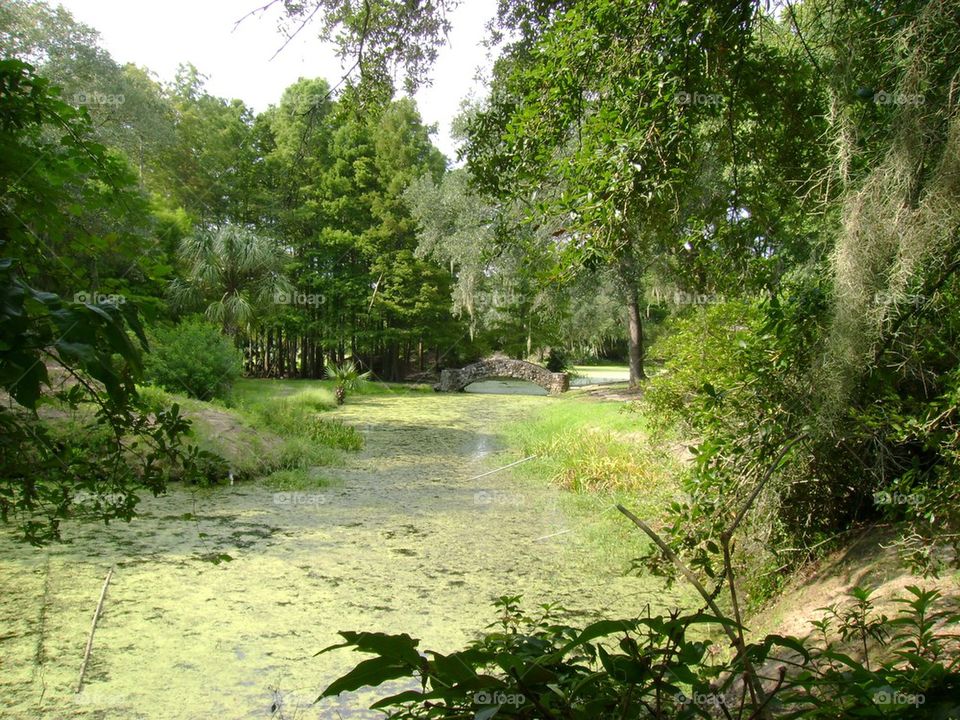 Avery Island