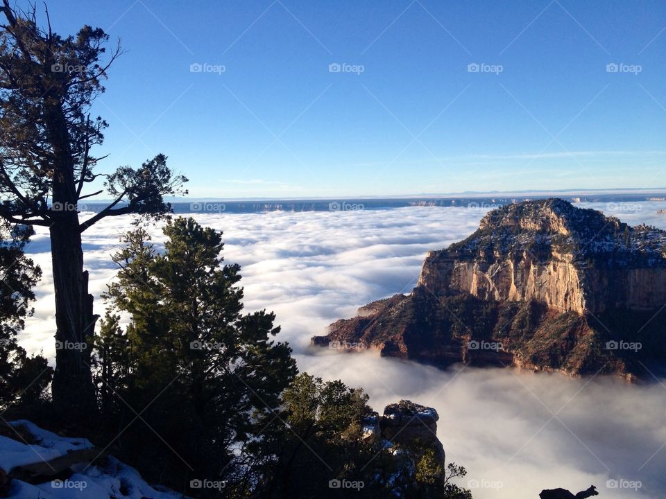 Fog in the Grand Canyon 