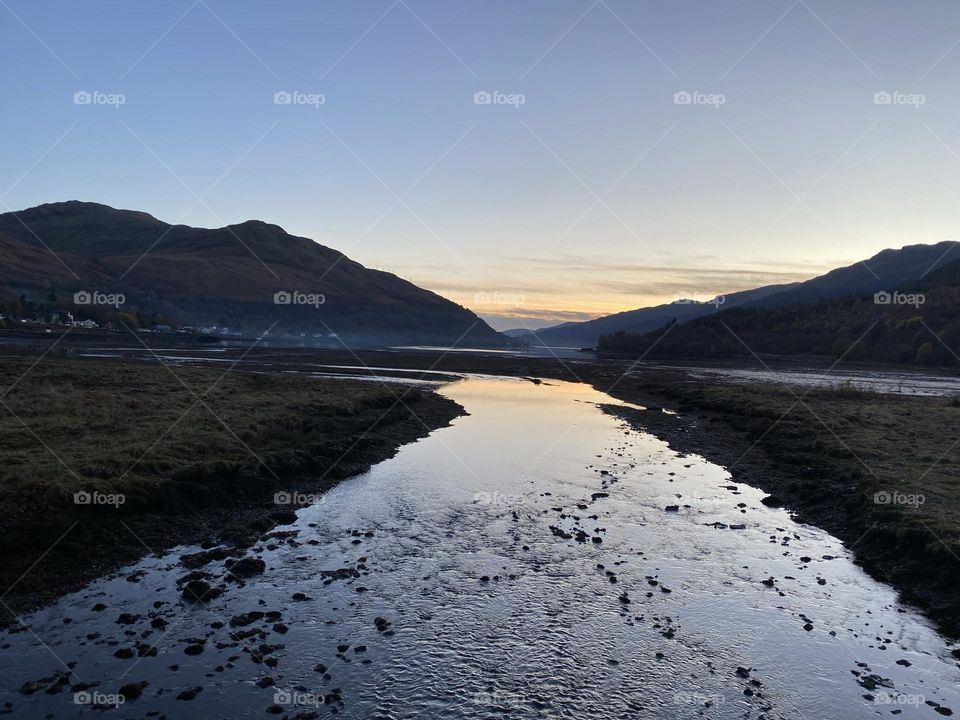 Arrochar orange