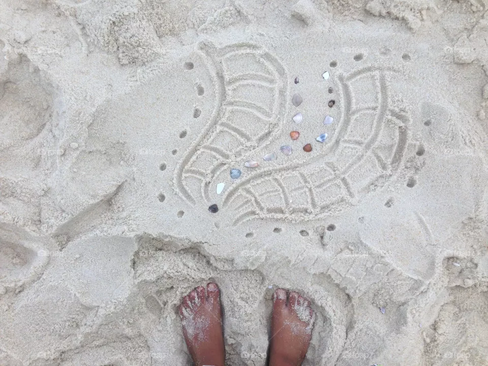 sea shells