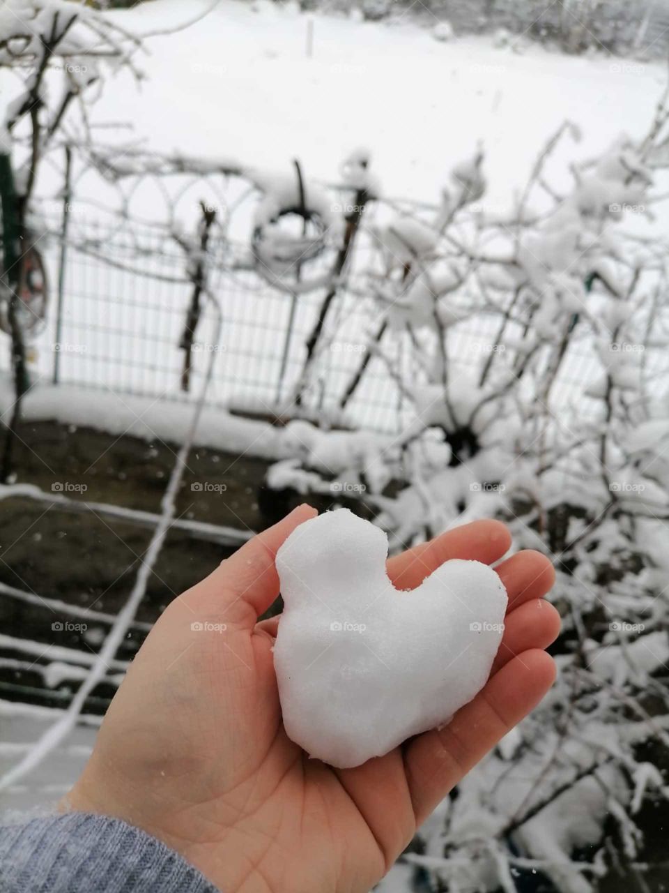 white Snow heart 