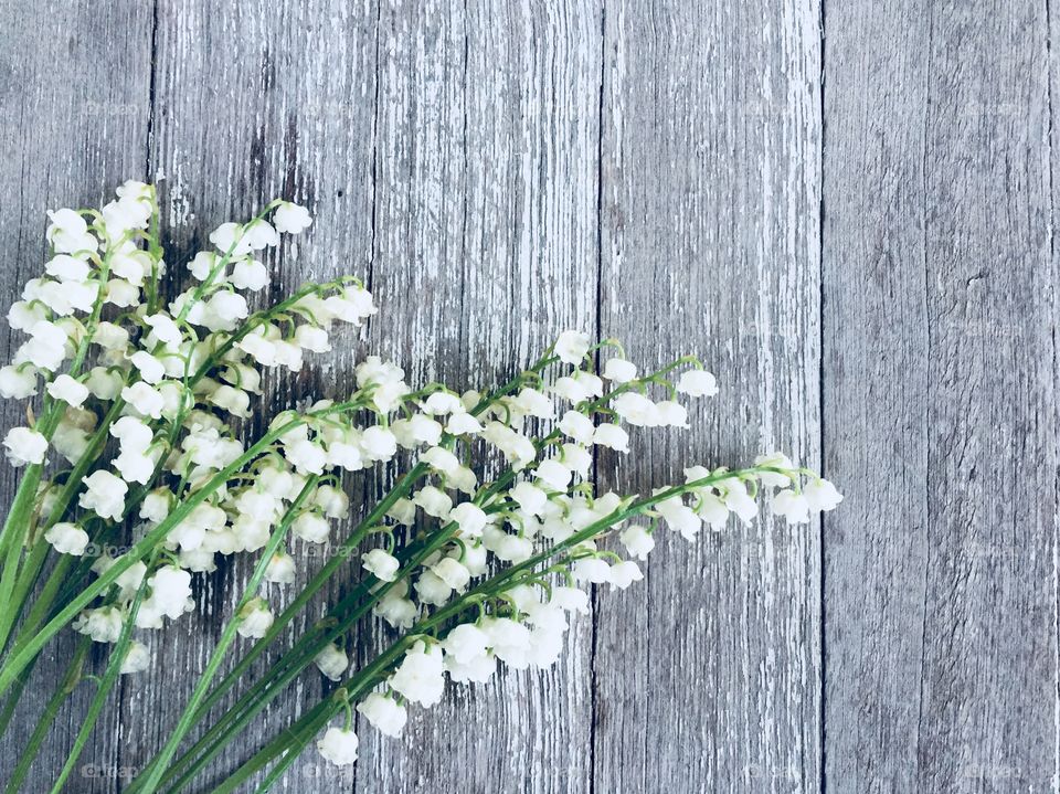 Lily of the Valley on a rustic grey and white wooden background (landscape)