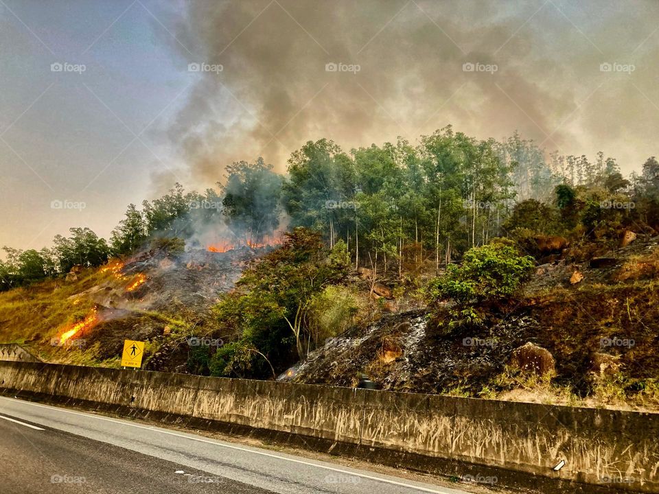 Na #Rodovia Bispo Dom Gabriel Paulino Bueno Couto, em #Cabreúva, #incêndio à beira da estrada. 
Com o tempo seco (e imprudência de muita gente), fica difícil evitar isso…
🔥 📸 🛣️ 
#Fotigrafia #Natureza #Queimada