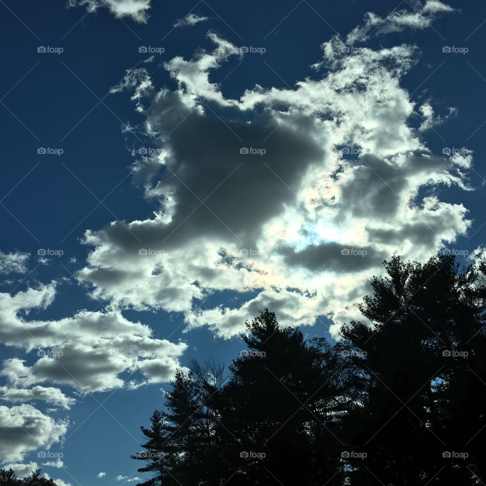 Clouds that were black & white being lit by the sun & blue sky. Trees in foreground.