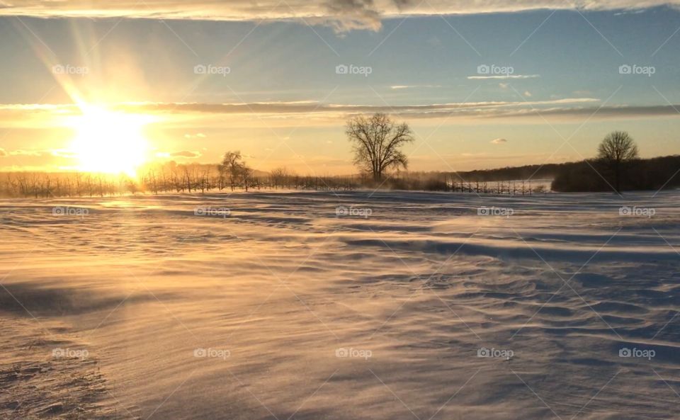 Windy winter 