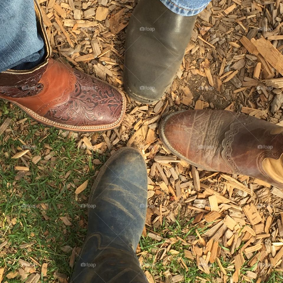 Horseback riding in British Columbia 