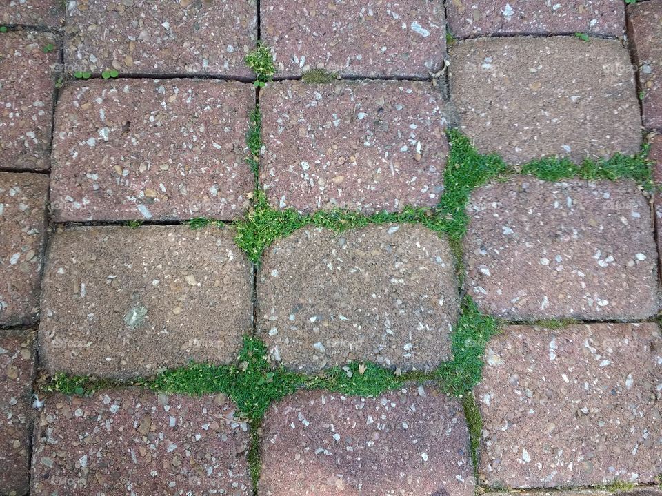 Mossy Cobbles