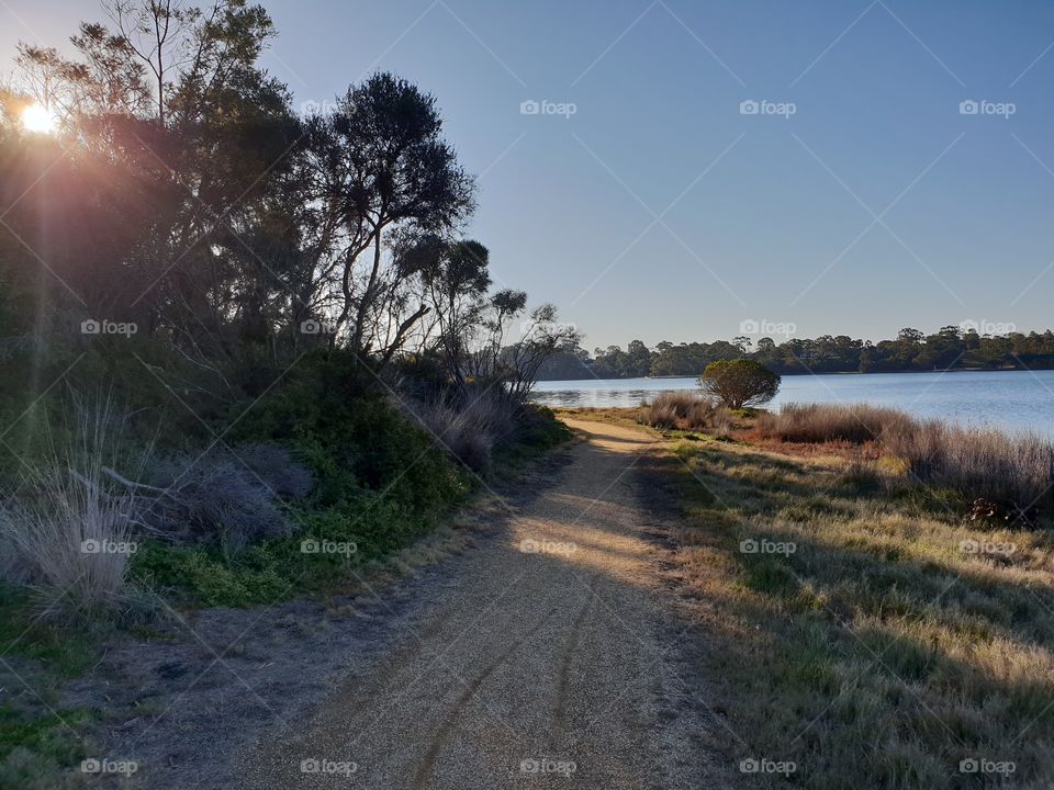 Pathway to the Lake