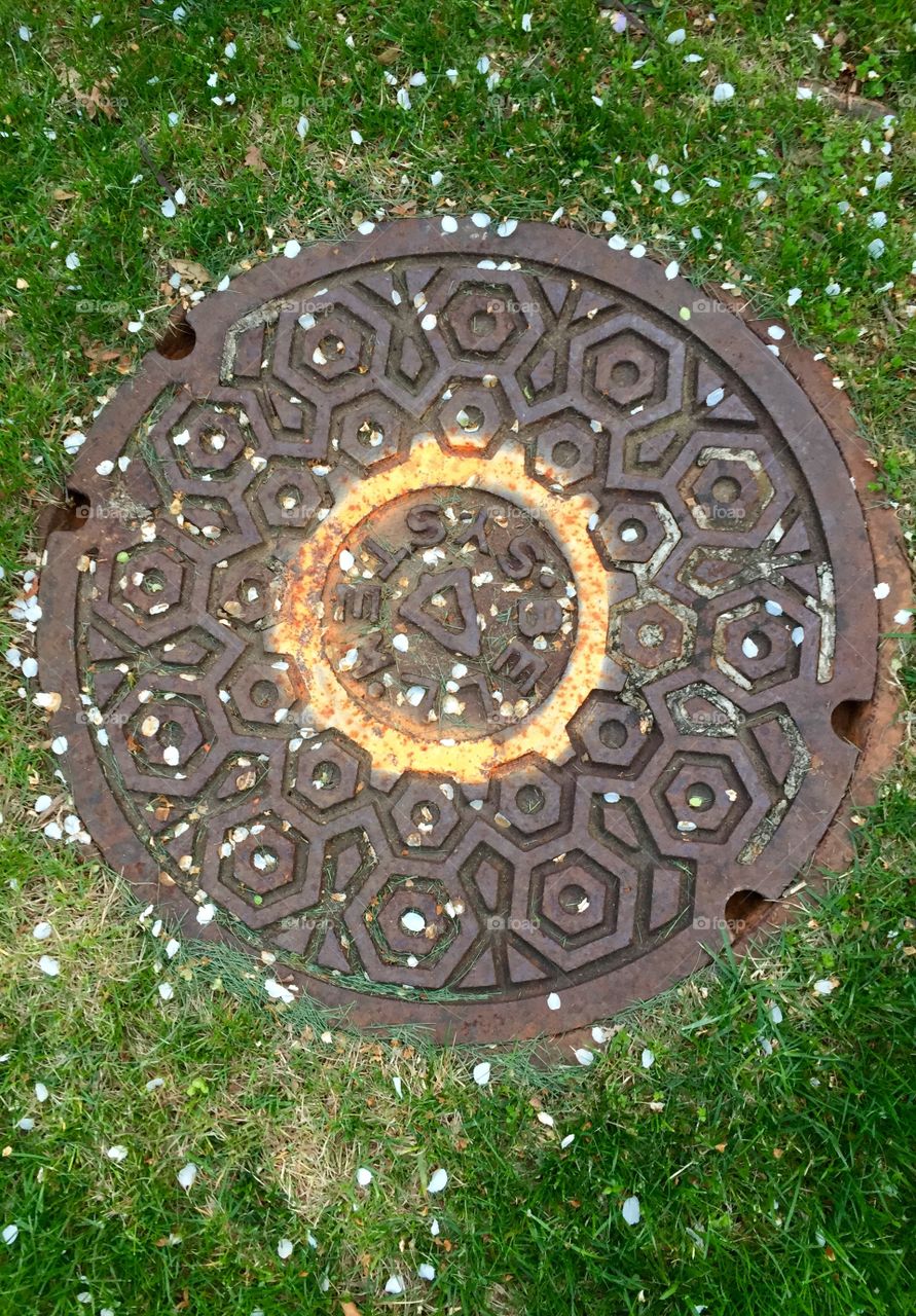Green Grass Goes Round. Manhole Cover marked orange and dusted with petals