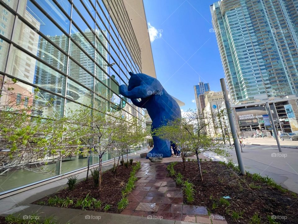 The big blue bear of the city of Denver Colorado 