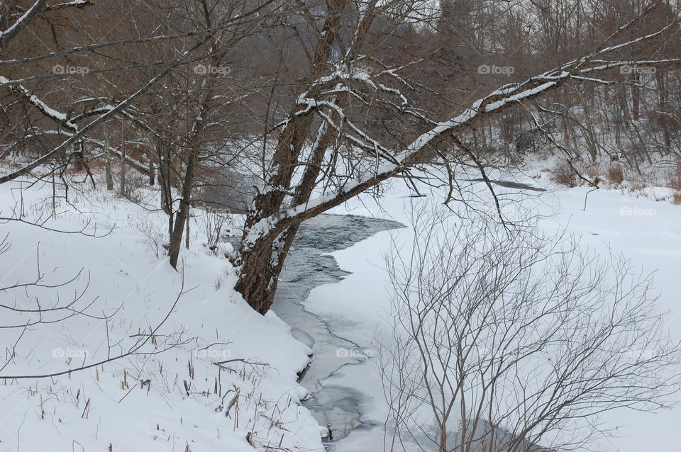 Upstate New York Winter