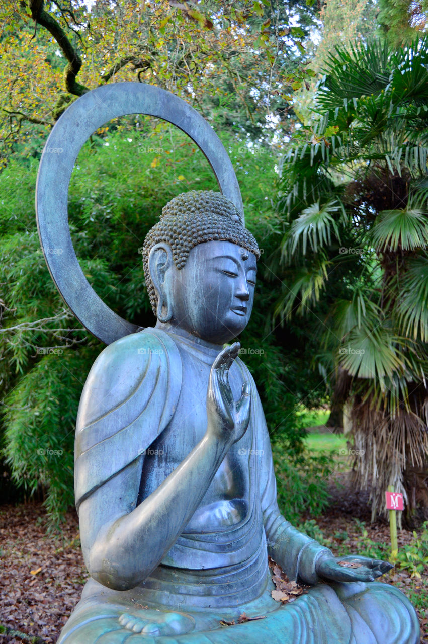 Buddha . Statue 