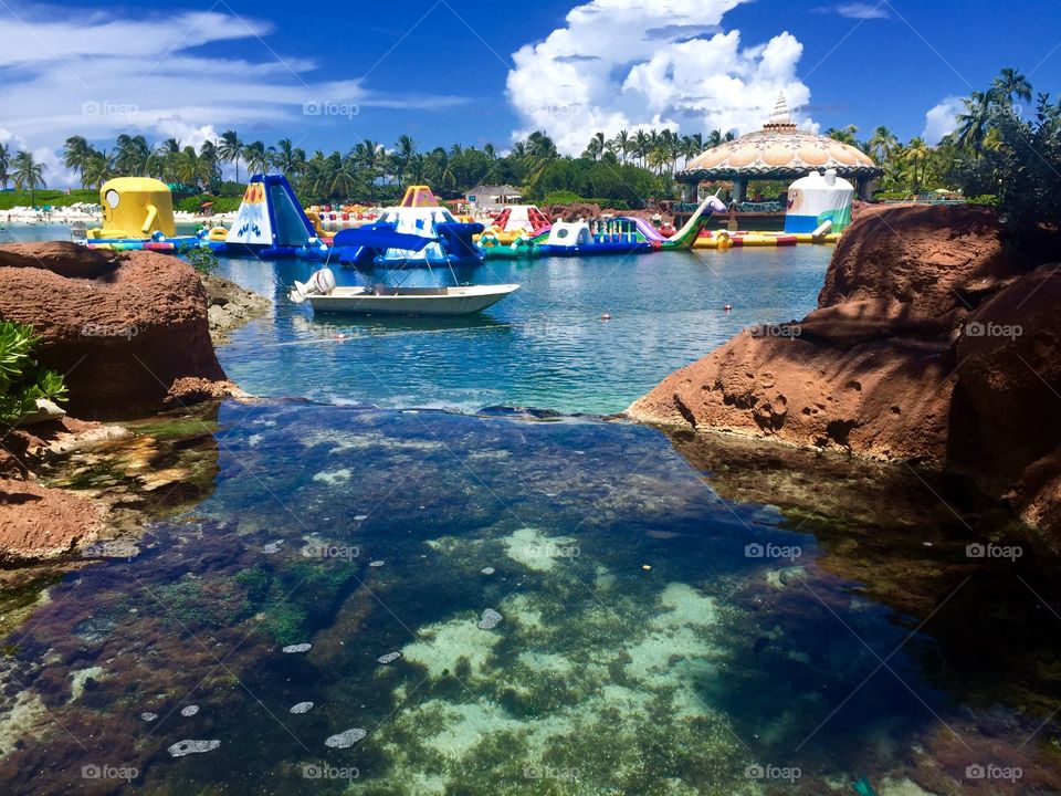 The best place ever. Amazingly place!!!! Atlantis- paradise island 💖